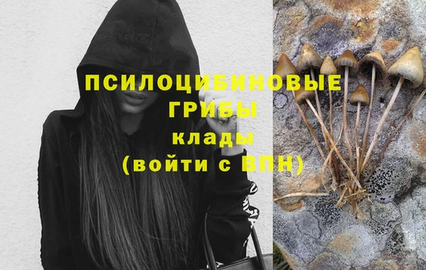 ешки Няндома